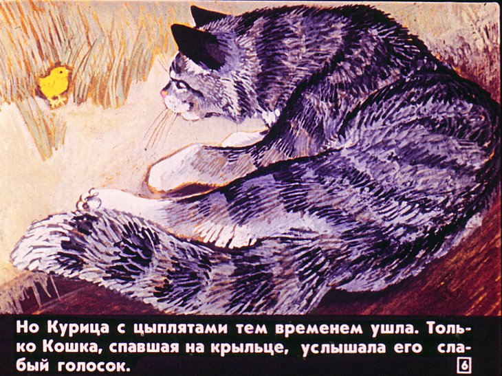 Кадр 6 диафильма «Про цыпленка который думал, что он котенок»