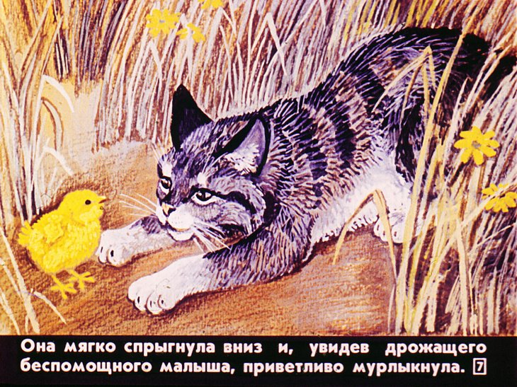 Кадр 7 диафильма «Про цыпленка который думал, что он котенок»