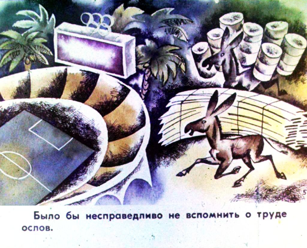 Кадр 7 диафильма «Олимпиада в джунглях. Часть 1»
