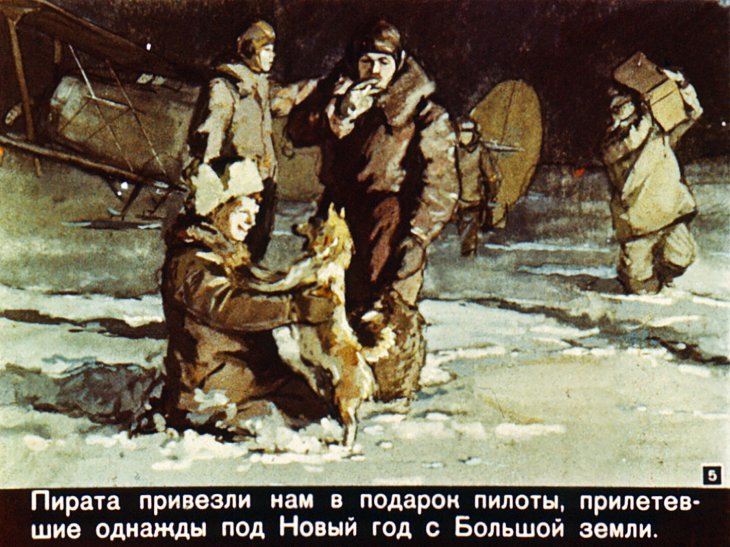 Кадр 5 диафильма «Быль о голубом песце»