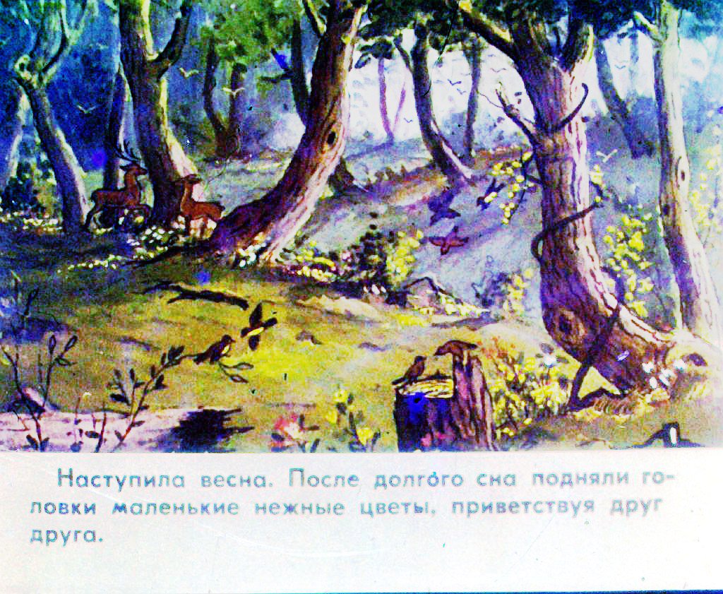 Кадр 2 диафильма «История маленькой пташки. Часть 1»
