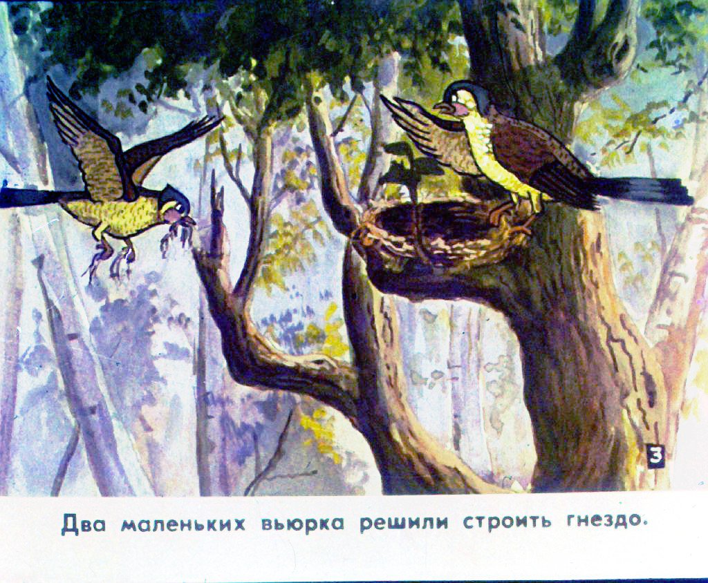 Кадр 4 диафильма «История маленькой пташки. Часть 1»