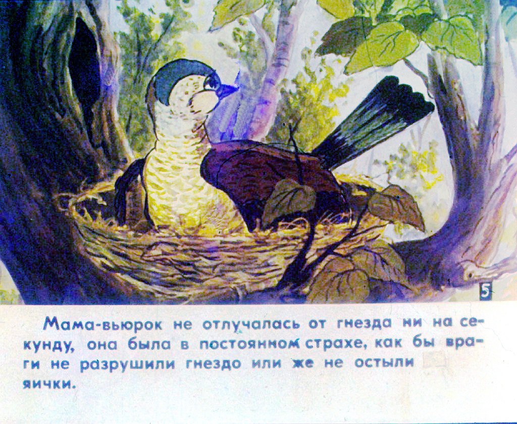 Кадр 6 диафильма «История маленькой пташки. Часть 1»