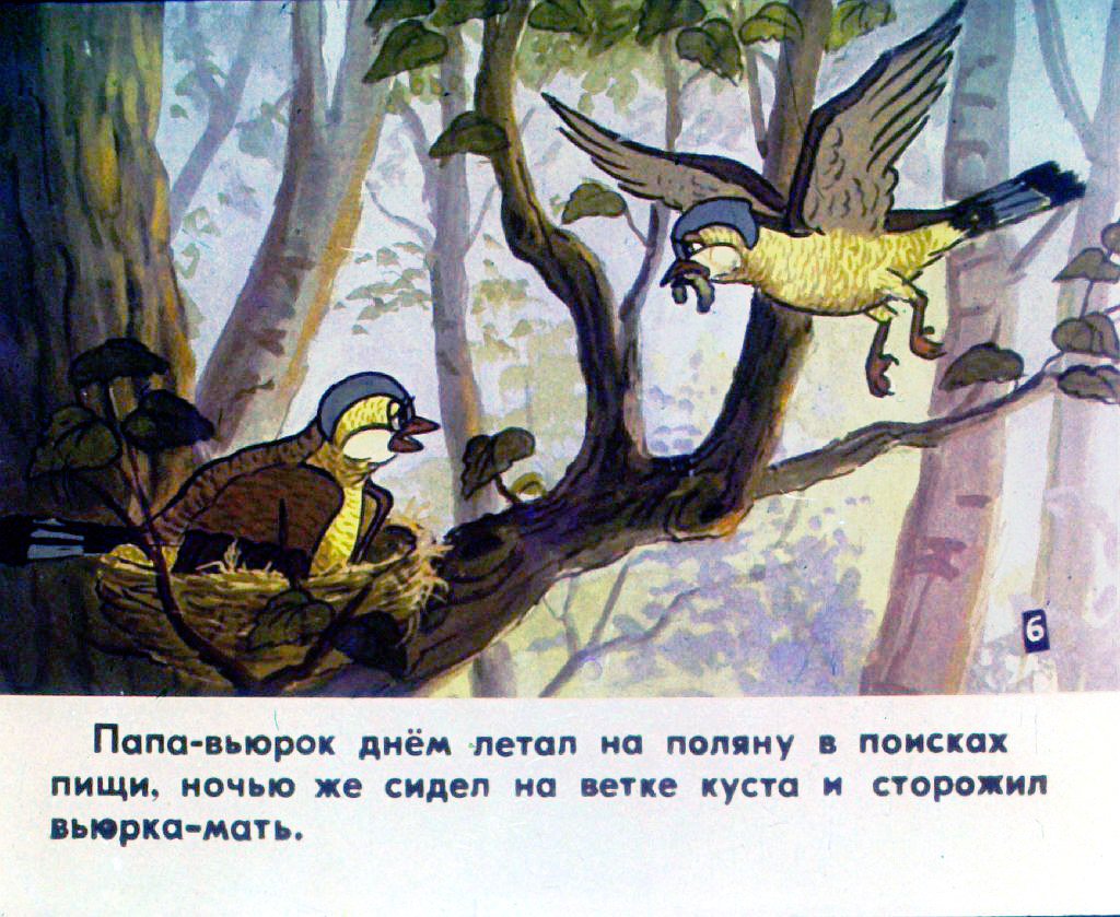 Кадр 7 диафильма «История маленькой пташки. Часть 1»