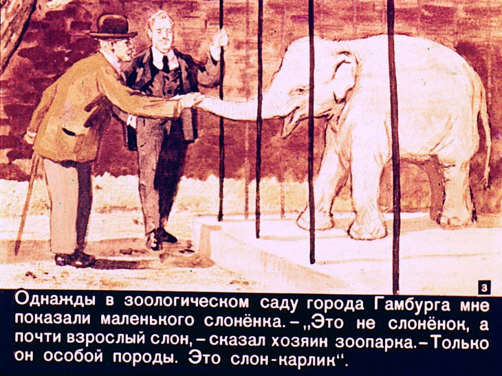 Кадр 3 диафильма «Слон Бэби»