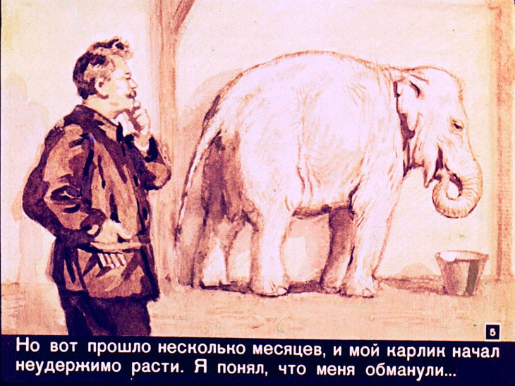 Кадр 5 диафильма «Слон Бэби»
