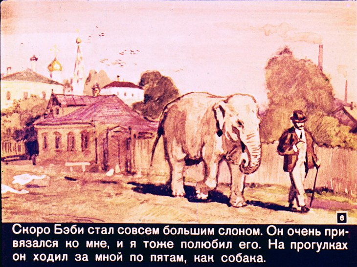 Кадр 6 диафильма «Слон Бэби»
