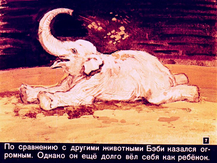 Кадр 7 диафильма «Слон Бэби»