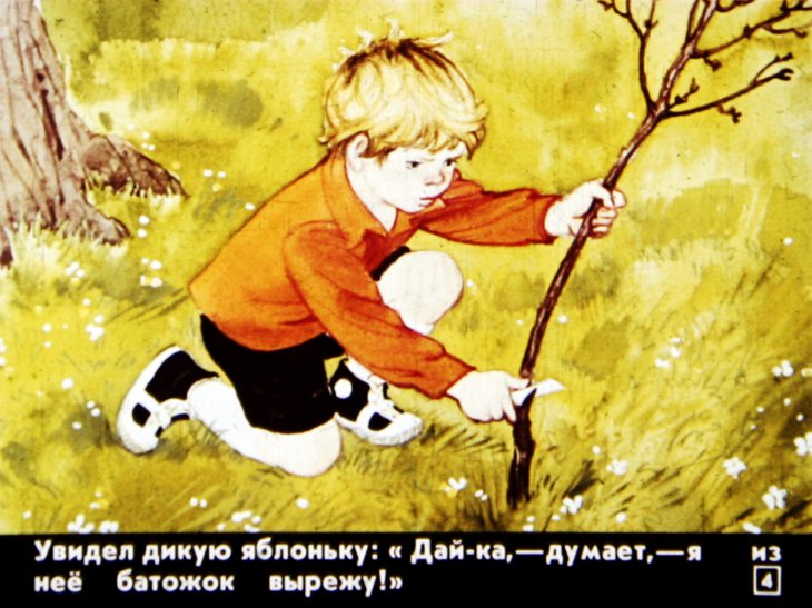Кадр 4 диафильма «Дичок»