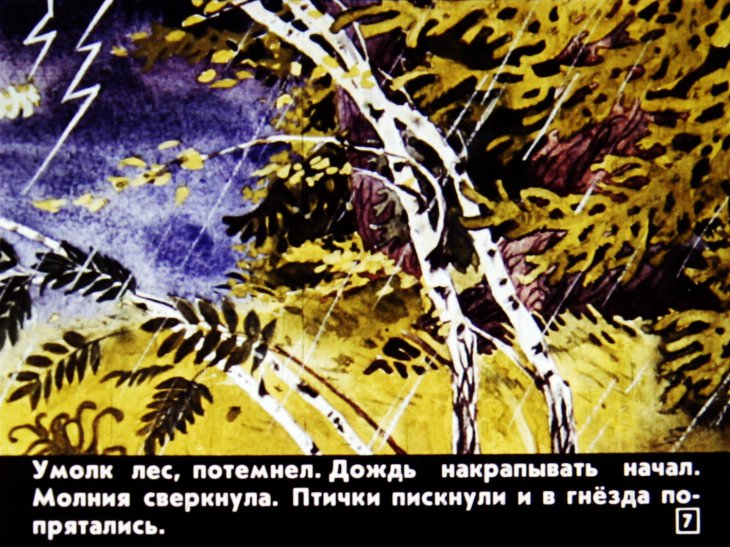 Кадр 7 диафильма «Дичок»