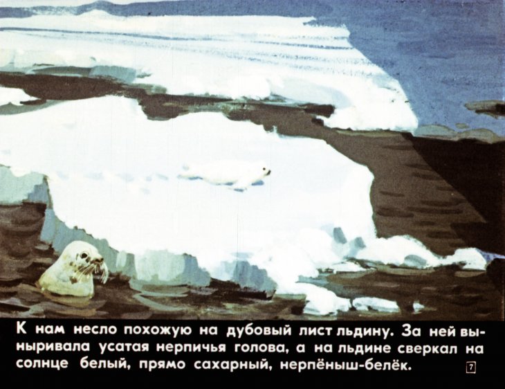 Кадр 7 диафильма «Гость»