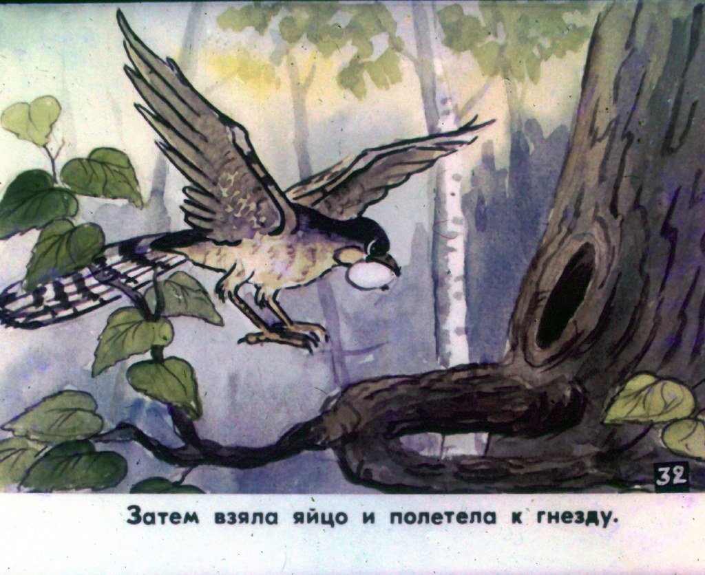 Кадр 5 диафильма «Кукушка. Часть 2»