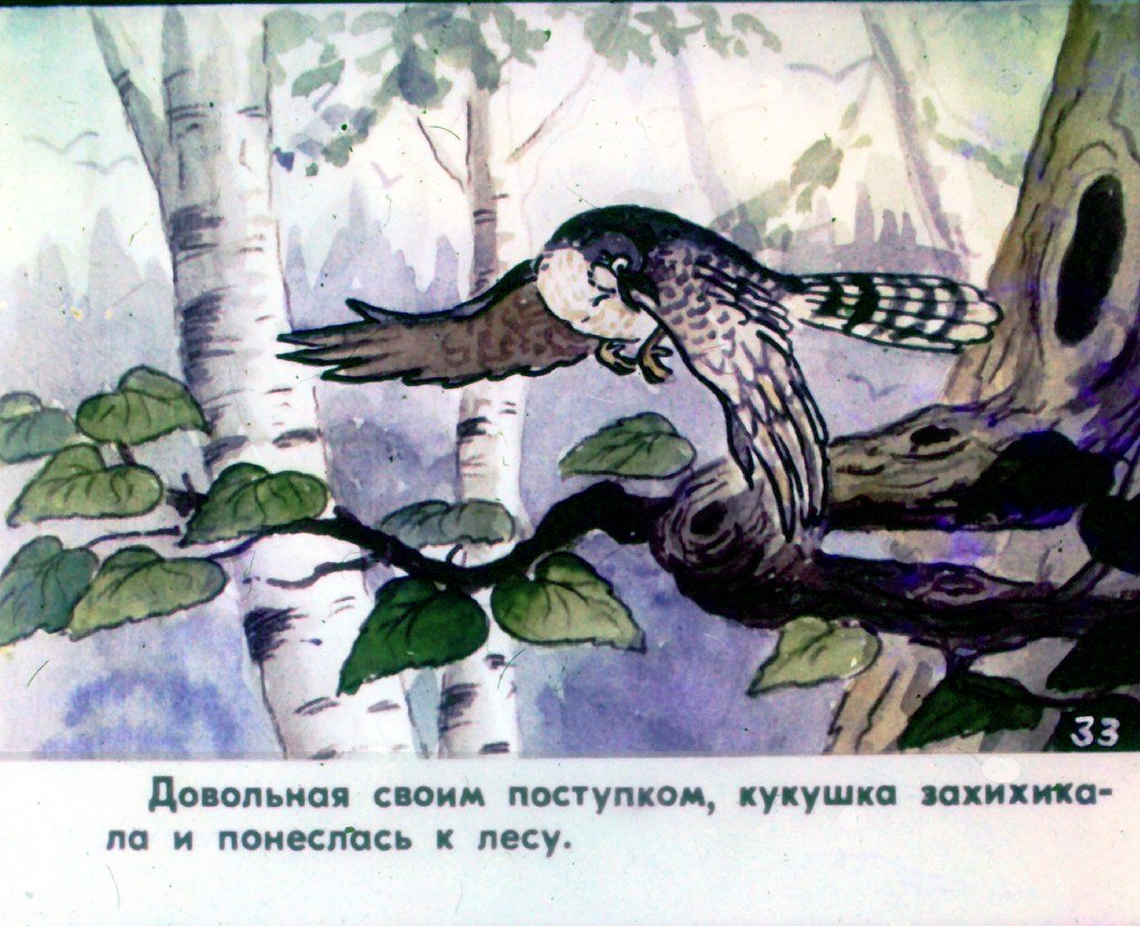 Кадр 6 диафильма «Кукушка. Часть 2»