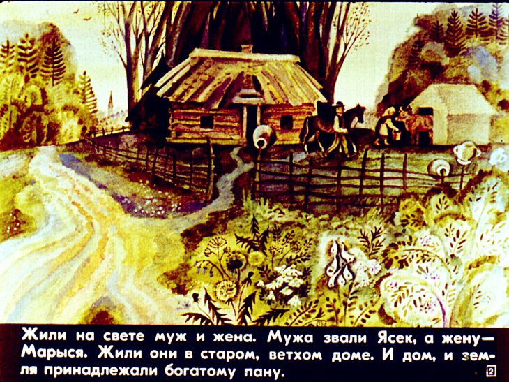 Кадр 2 диафильма «Птица-счастье»