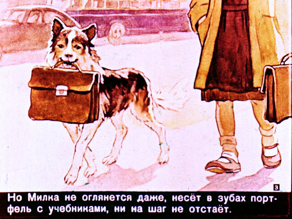 Кадр 3 диафильма «Милка»