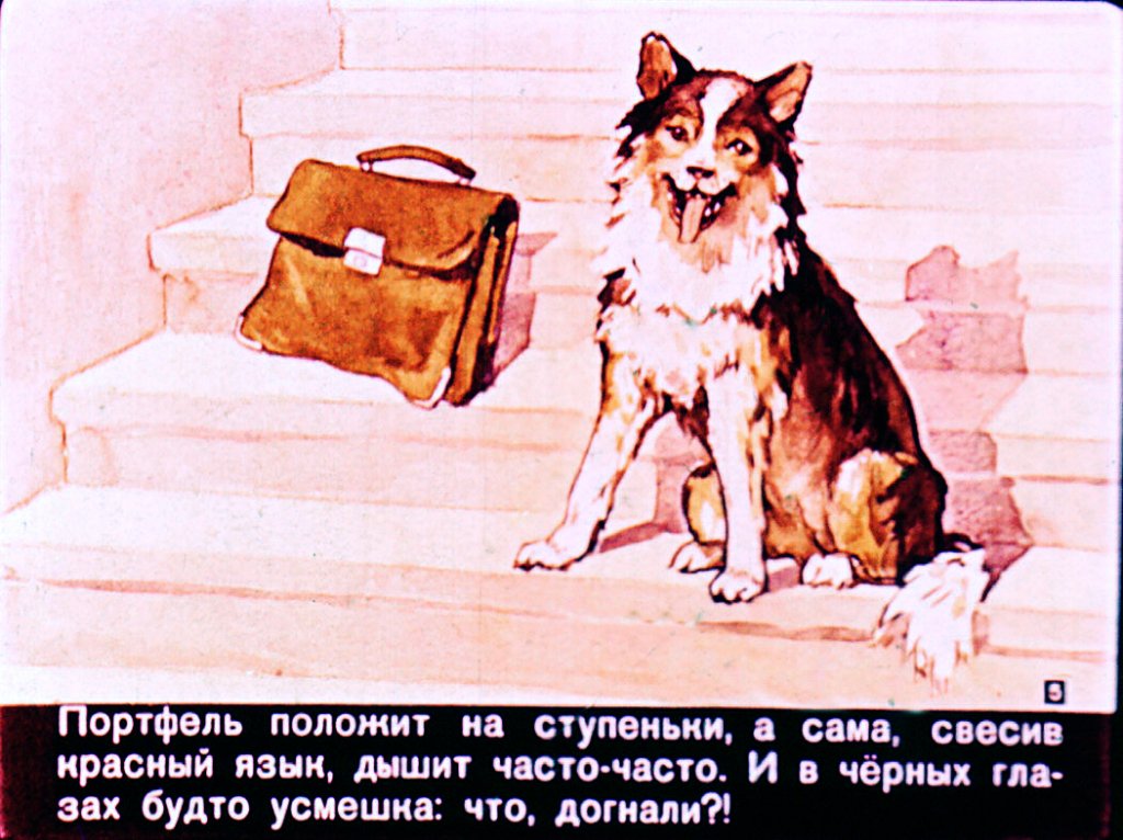 Кадр 5 диафильма «Милка»