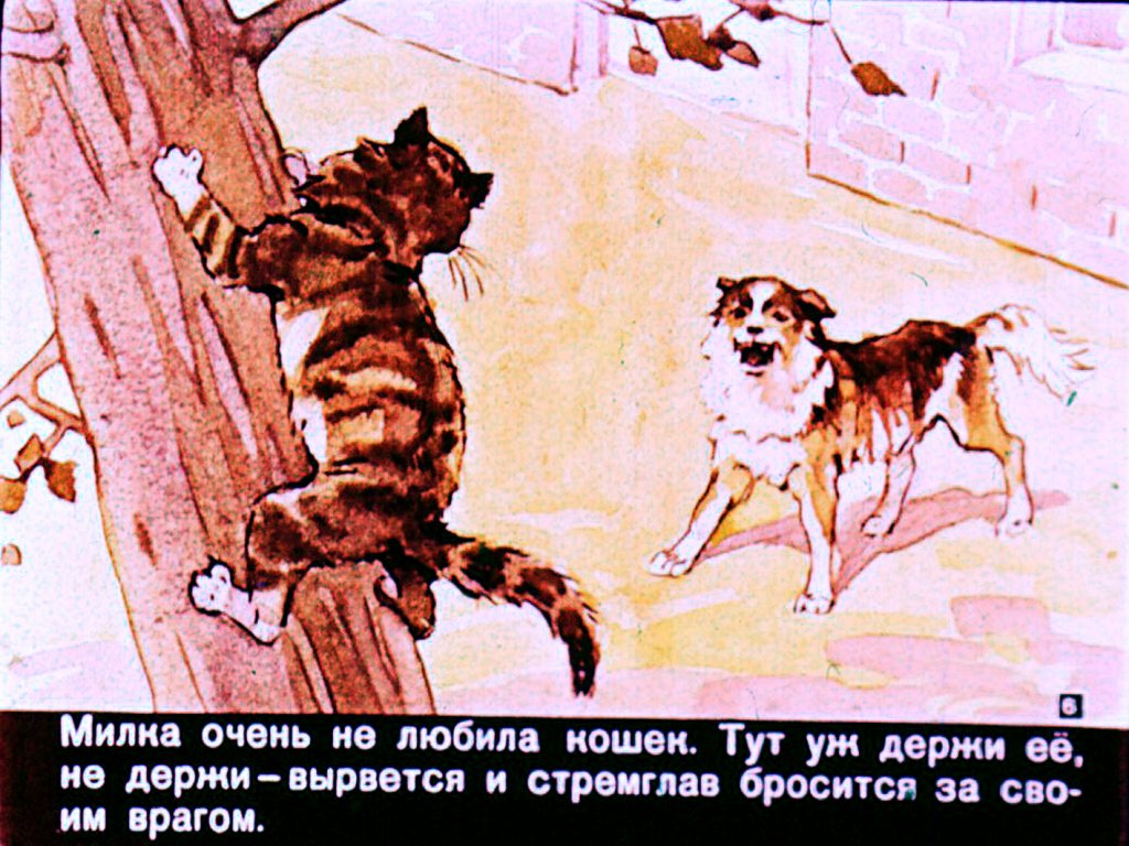 Кадр 6 диафильма «Милка»
