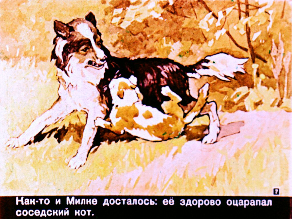 Кадр 7 диафильма «Милка»