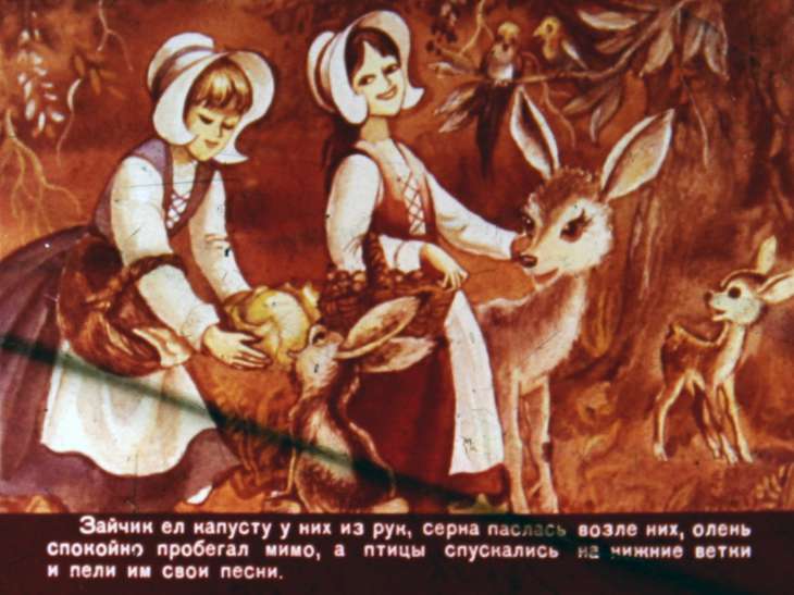 Кадр 5 диафильма «Беляночка и Розочка»