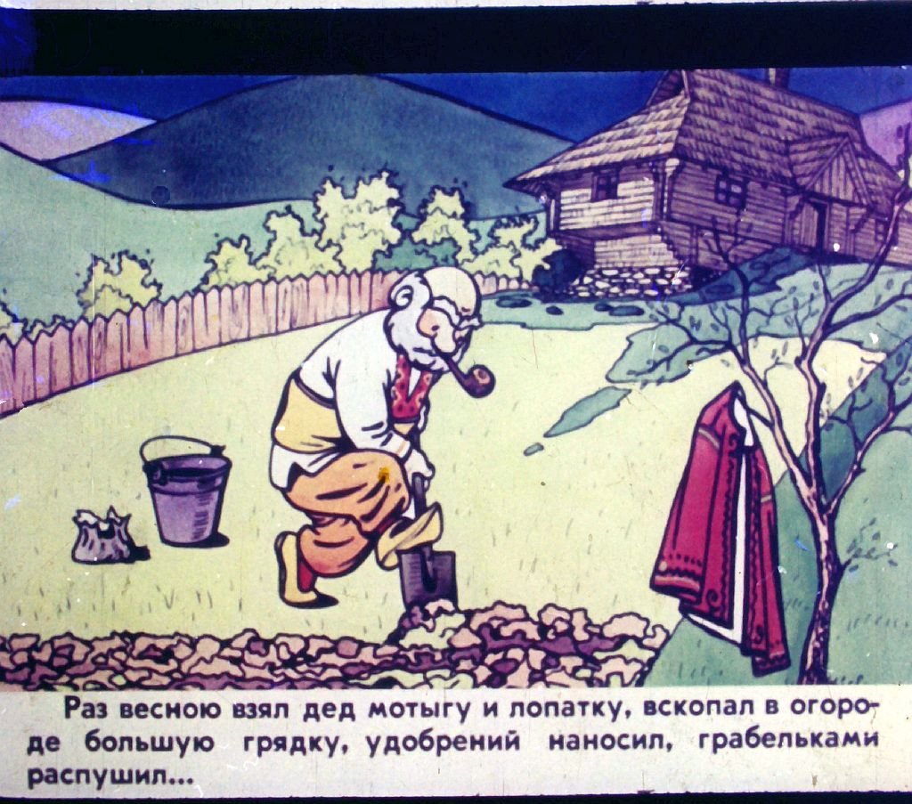 Кадр 6 диафильма «Репка»