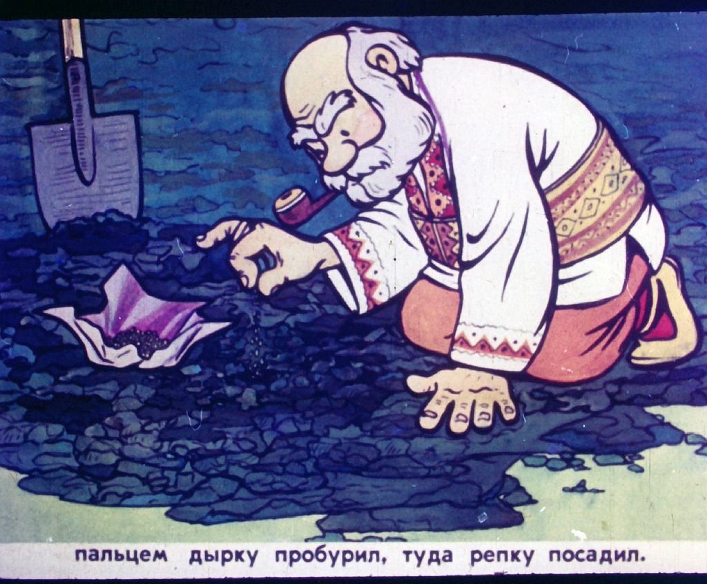 Кадр 7 диафильма «Репка»