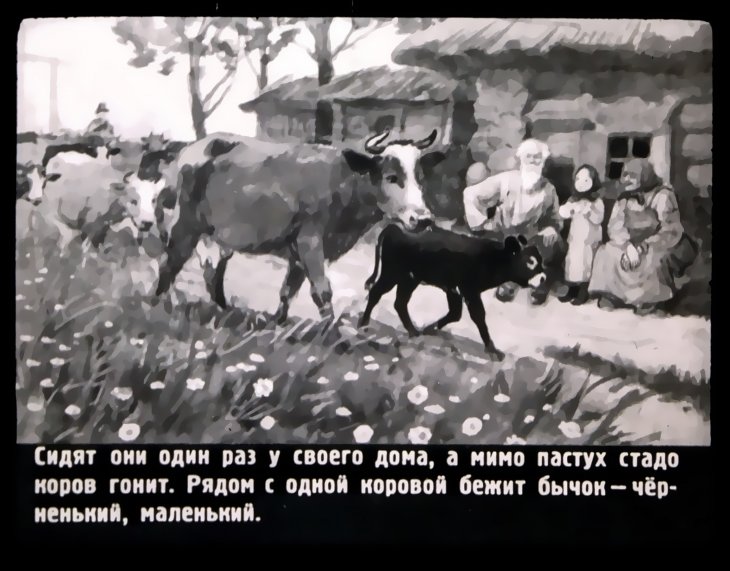 Кадр 3 диафильма «Смоляной бычок»