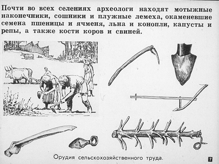 Кадр 7 диафильма «Славяне в VI–X веках»