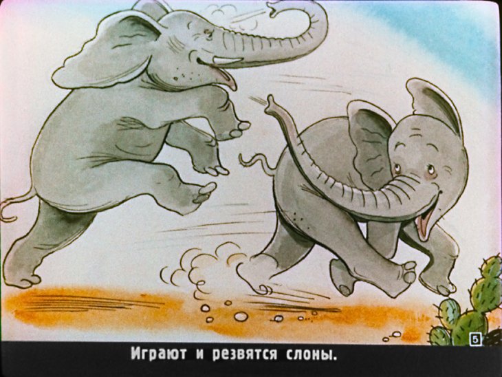 Кадр 5 диафильма «Как крокодил дикобраза проглотил»