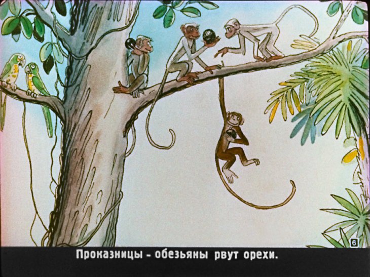 Кадр 6 диафильма «Как крокодил дикобраза проглотил»