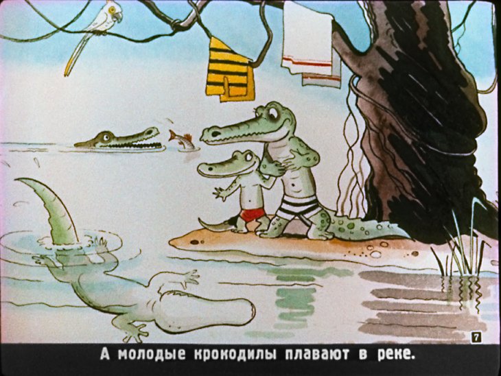 Кадр 7 диафильма «Как крокодил дикобраза проглотил»