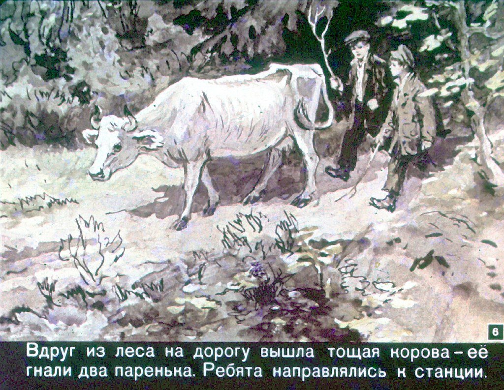 Кадр 6 диафильма «Отважные»