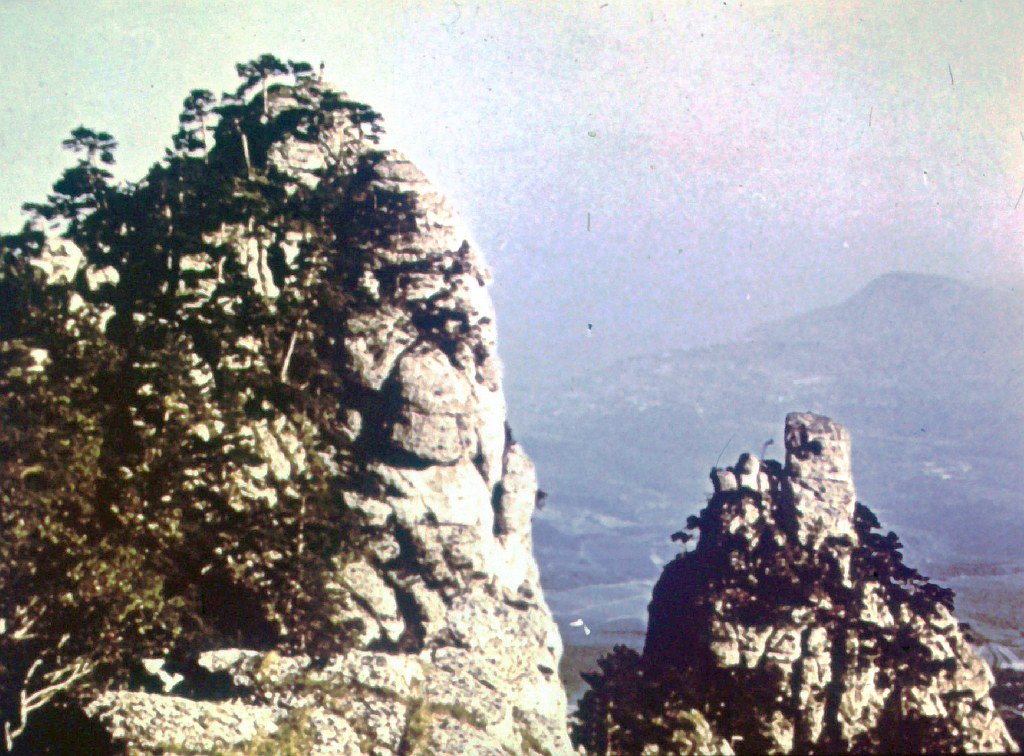 Кадр 6 диафильма «Памятники природы Крыма»