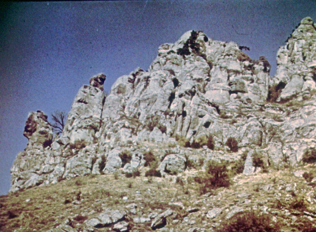 Кадр 7 диафильма «Памятники природы Крыма»