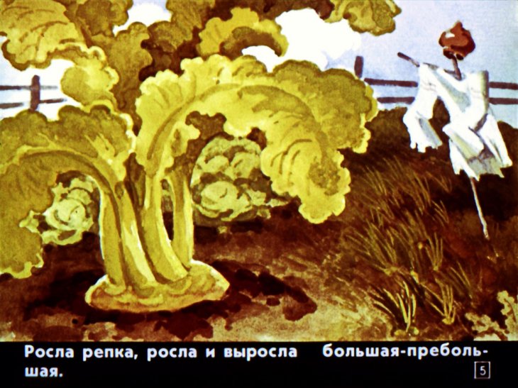 Кадр 5 диафильма «Сказка про репку»
