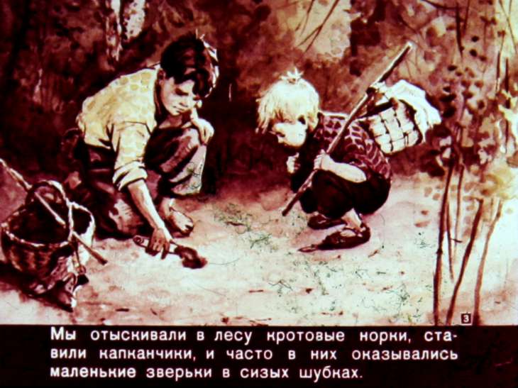 Кадр 3 диафильма «Неожиданная встреча»