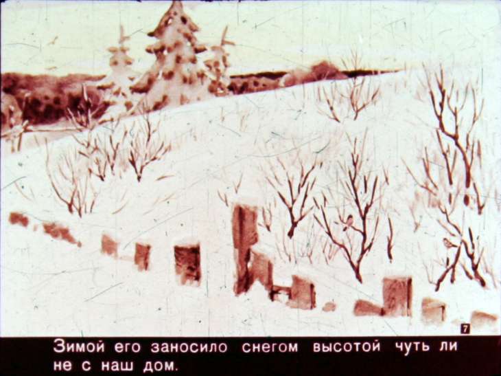 Кадр 7 диафильма «Неожиданная встреча»
