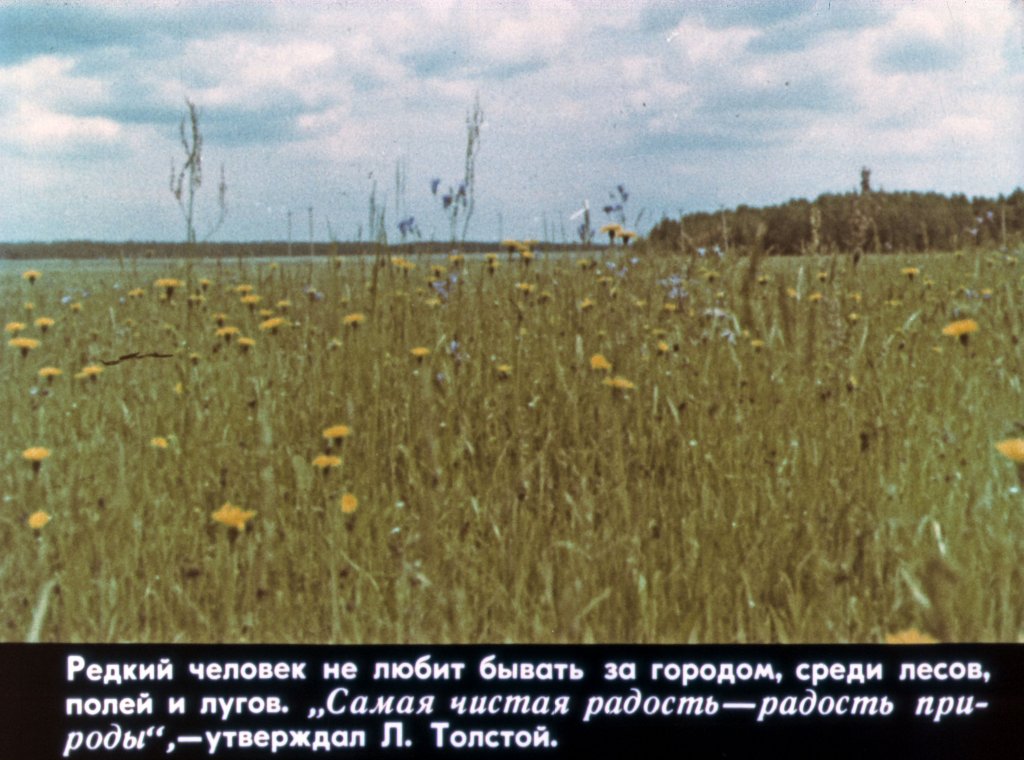 Кадр 2 диафильма «Турист, береги природу!»