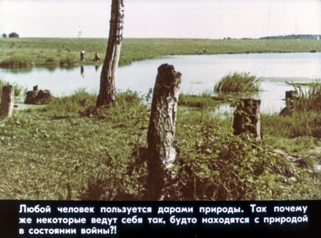 Кадр 5 диафильма «Турист, береги природу!»