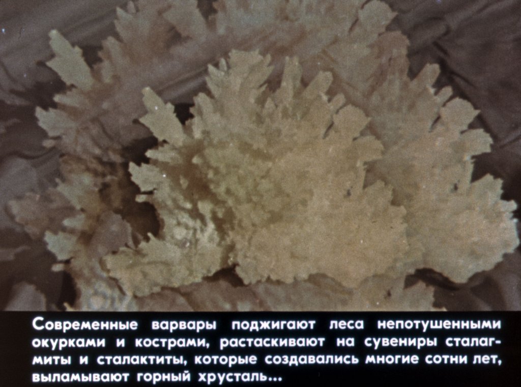 Кадр 6 диафильма «Турист, береги природу!»
