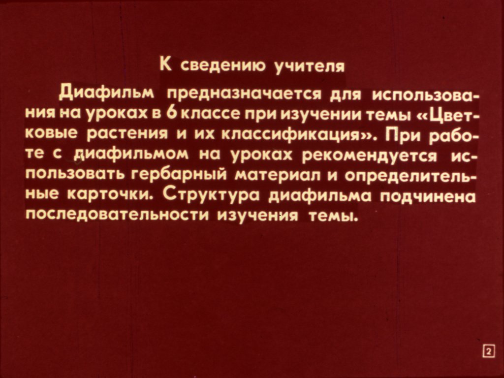 Кадр 2 диафильма «Семейство злаков»