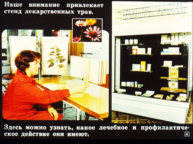 Кадр 4 диафильма «Экскурсия в аптеку»