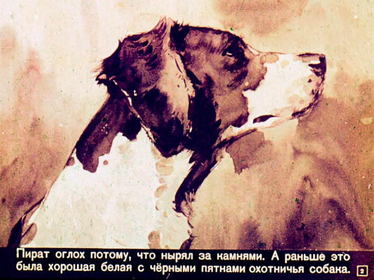 Кадр 2 диафильма «Третий подарок»