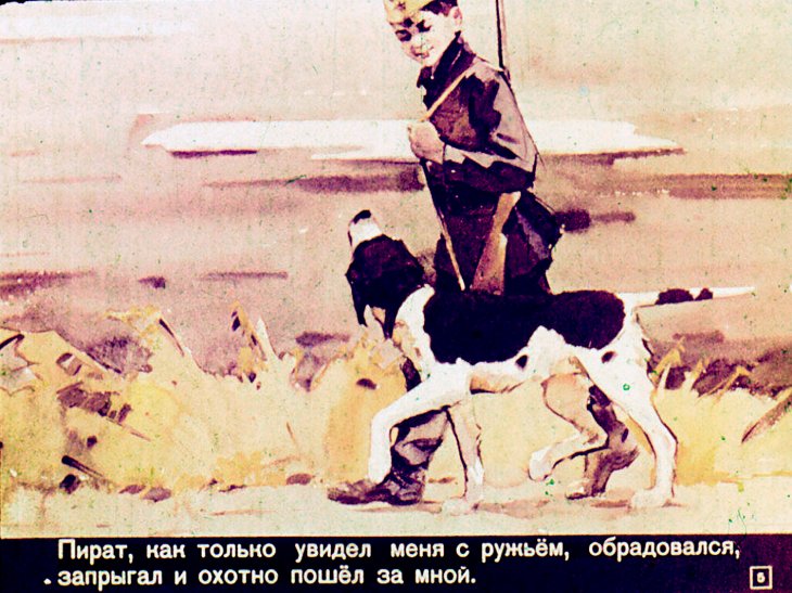 Кадр 5 диафильма «Третий подарок»