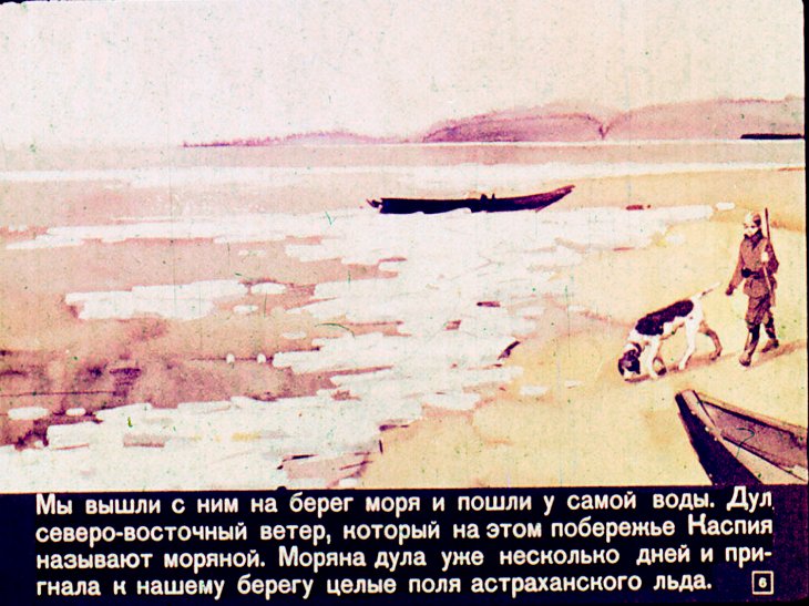Кадр 6 диафильма «Третий подарок»