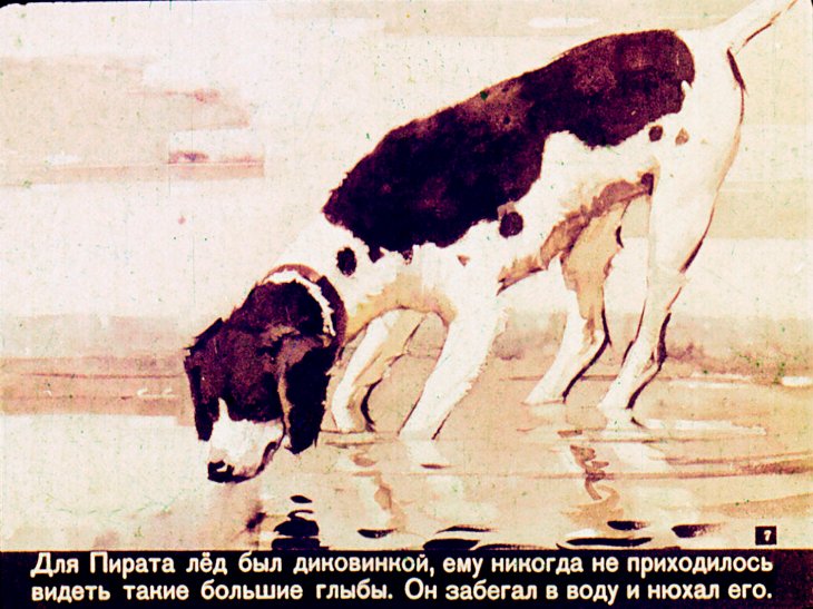 Кадр 7 диафильма «Третий подарок»