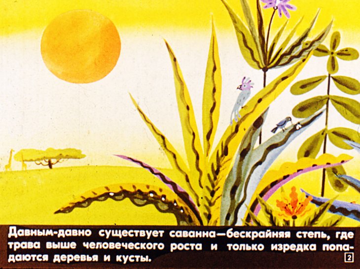 Кадр 2 диафильма «Сторож саванны»