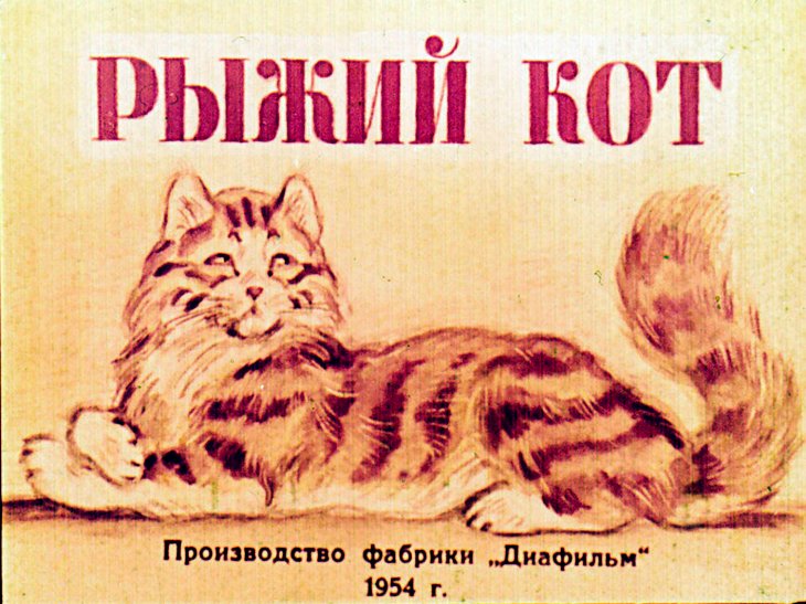 Кадр 1 диафильма «Рыжий кот»