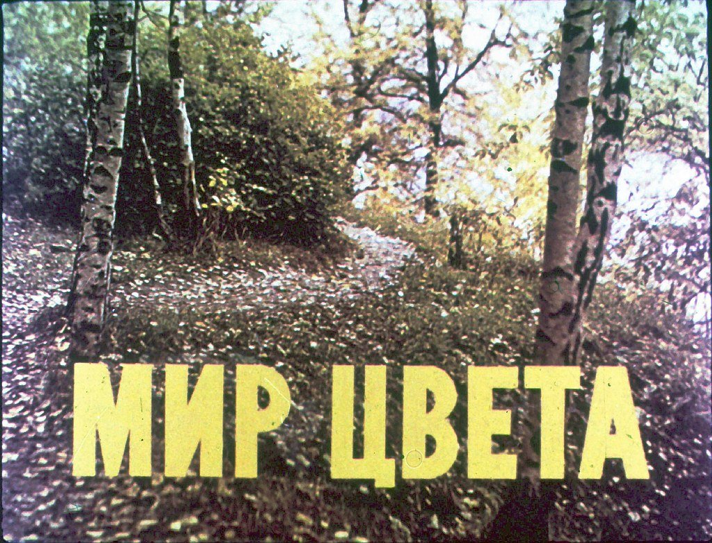 Кадр 1 диафильма «Мир цвета»