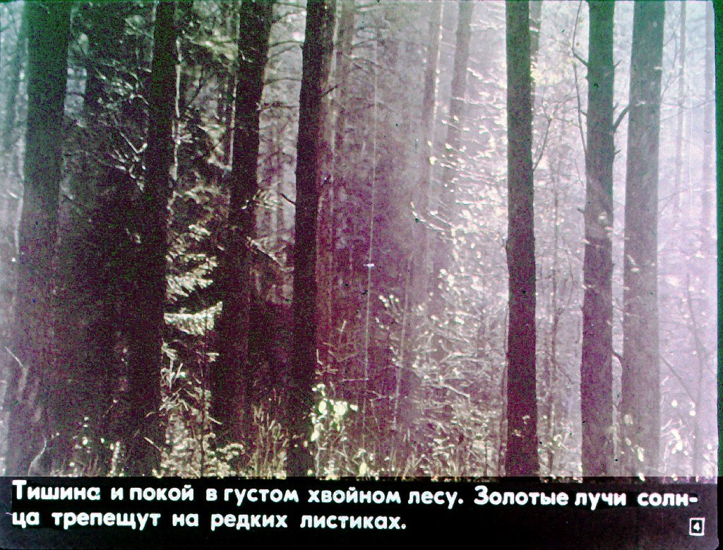 Кадр 4 диафильма «Мир цвета»