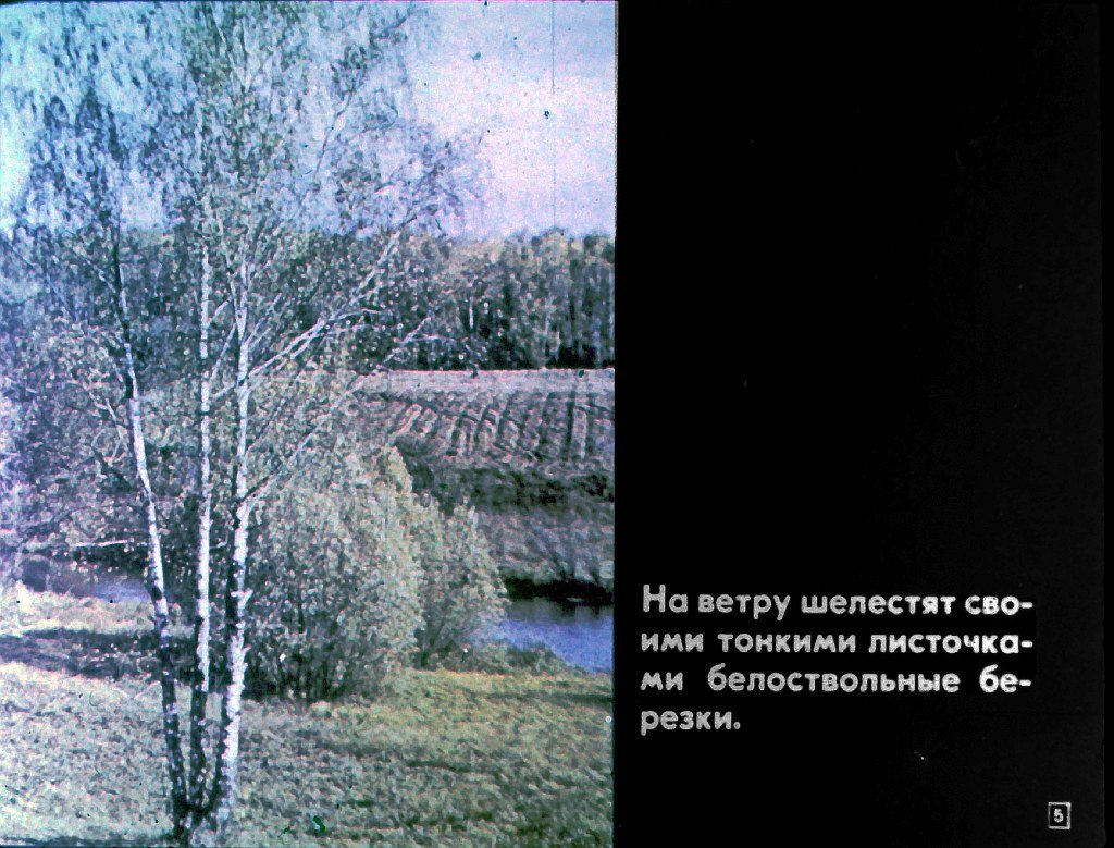 Кадр 5 диафильма «Мир цвета»